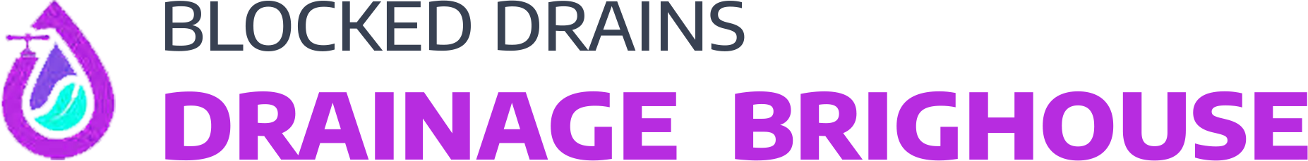 website logo